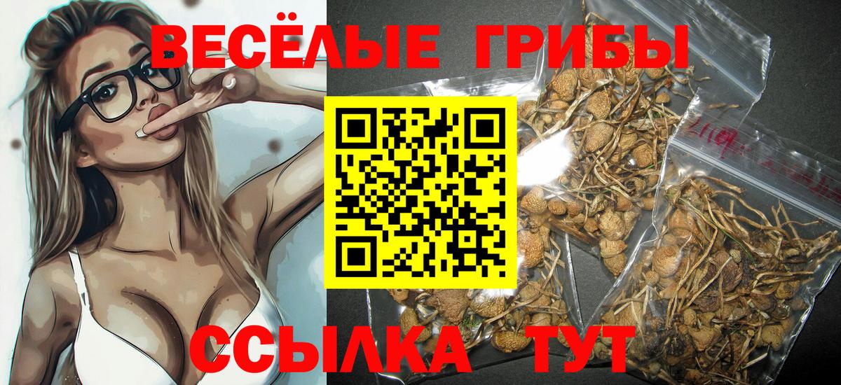 Галлюциногенные грибы мухоморы Всеволожск