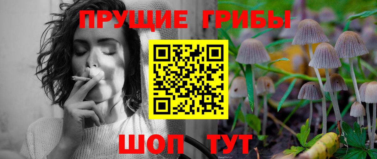 Всеволожск  Псилоцибиновые грибы GOLDEN TEACHER  Вход с VPN 